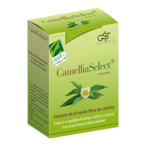 CamelliaSelect