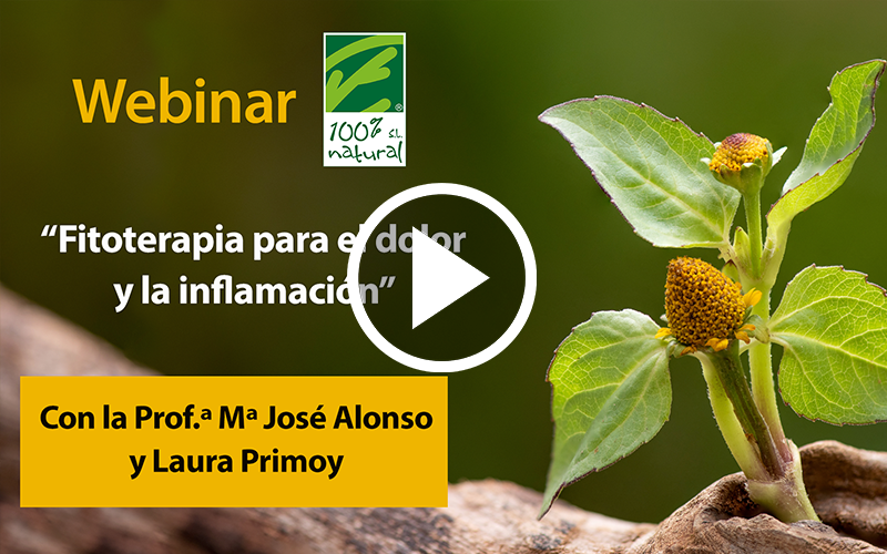 Webinar “Fitoterapia para el dolor y la inflamación”